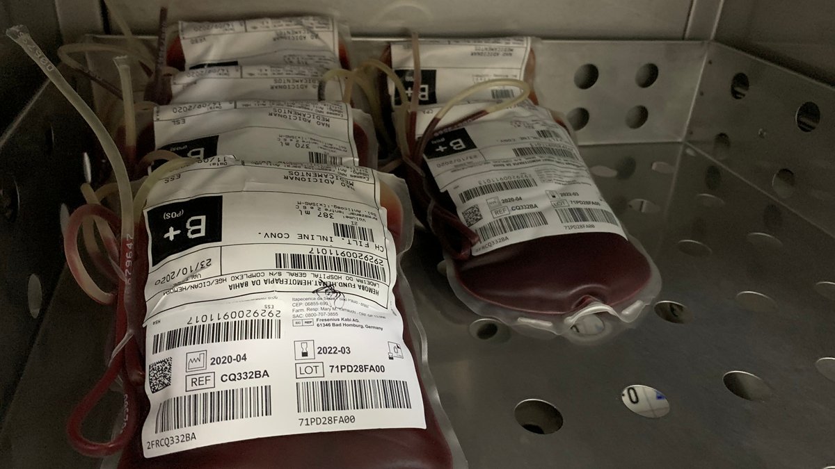Para atender o aumento das solicitações previsto durante o feriado de Páscoa, a Hemoba recebe os voluntários à doação de sangue durante a Sema