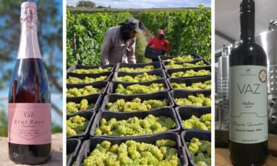 A vinícola baiana Vaz, localizada em Morro do Chapéu, na Chapada Diamantina, ganhou a 9ª edição da Grande Prova Vinhos do Brasil (GPVB) e a 4ª edição da Grande Prova Sucos de Uva do Brasil