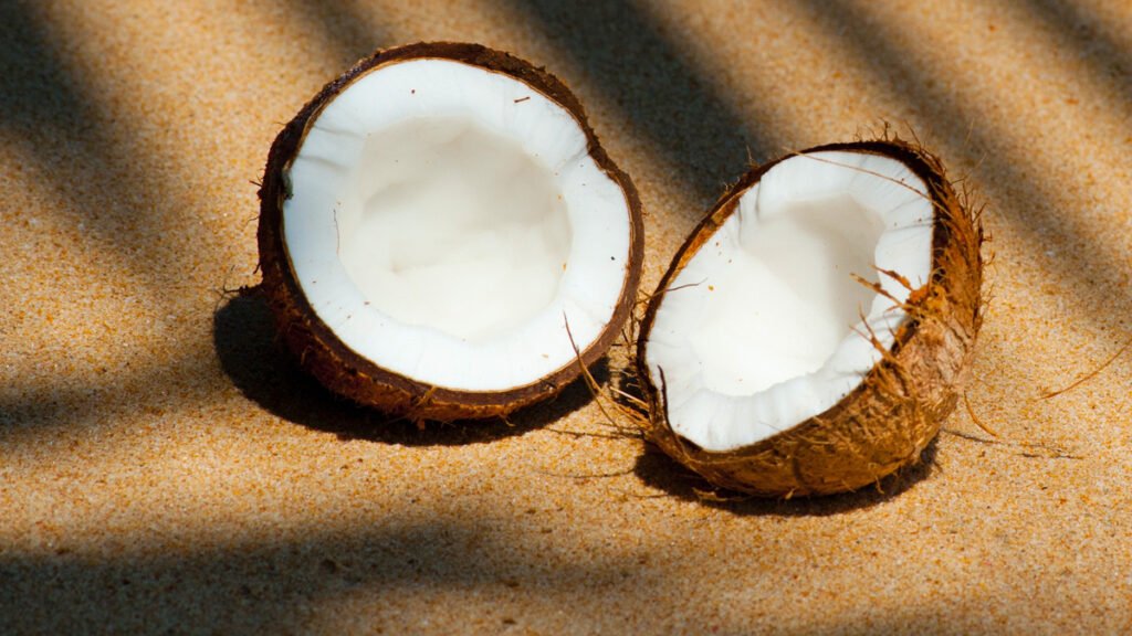Escola na Ilha de Bali aceita cocos como pagamento de mensalidade