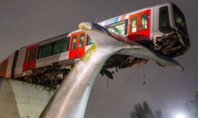 Metrô é salvo pela cauda da baleia