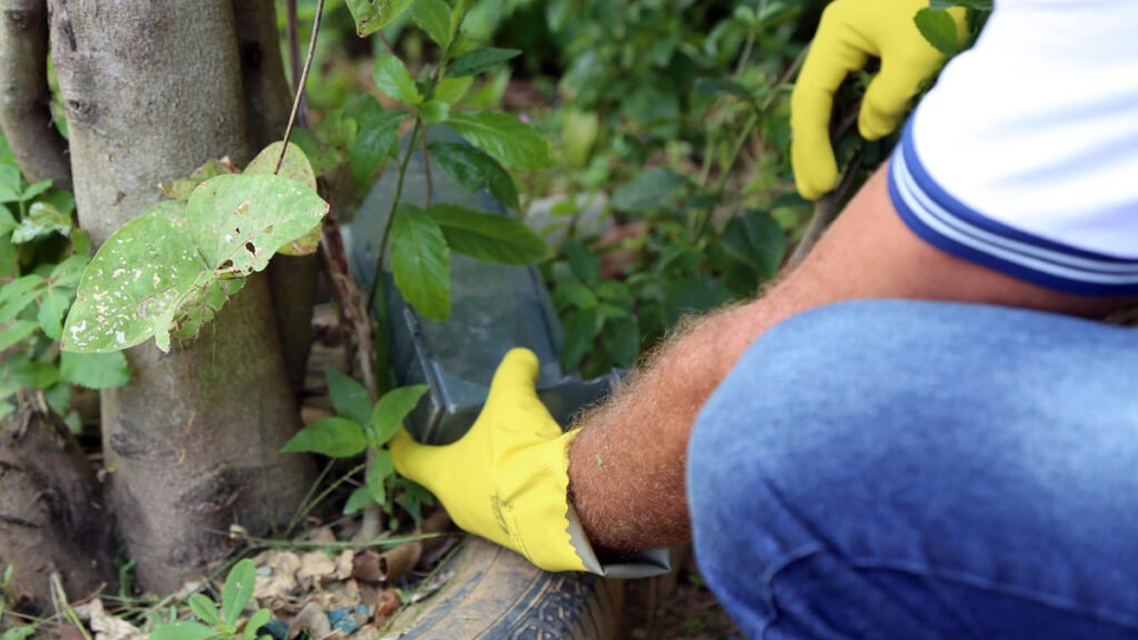 Agentes de combate às endemias da Secretaria Municipal da Saúde vão atuar quarta (27) e quinta (28), na retirada de armadilhas contra o Aedes aegypti.