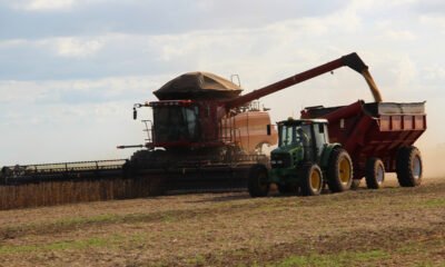 O décimo segundo Levantamento Sistemático da Produção Agrícola (LSPA), relativo a dezembro do ano passado, confirmou a safra recorde na Bahia