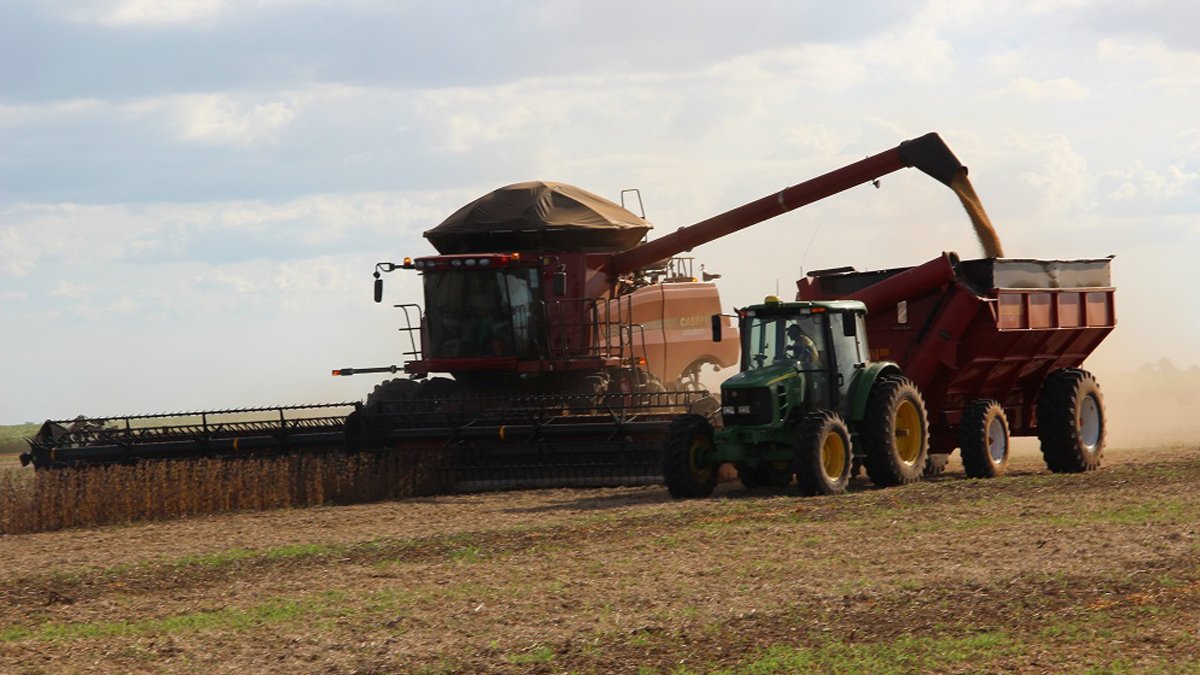 O décimo segundo Levantamento Sistemático da Produção Agrícola (LSPA), relativo a dezembro do ano passado, confirmou a safra recorde na Bahia