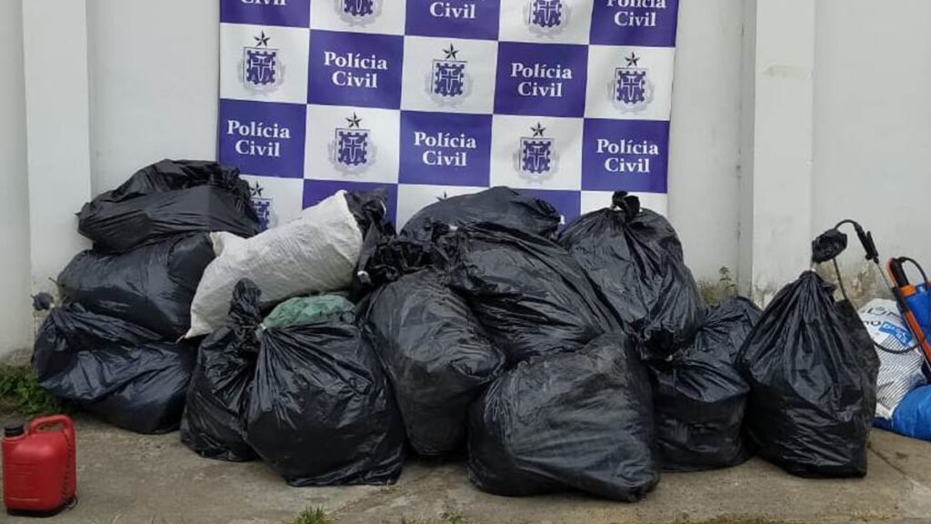 na cidade de Senhor do Bonfim, distante 375 quilômetros de Salvador, durante operação deflagrada pelo Departamento de Polícia do Interior (Depin)