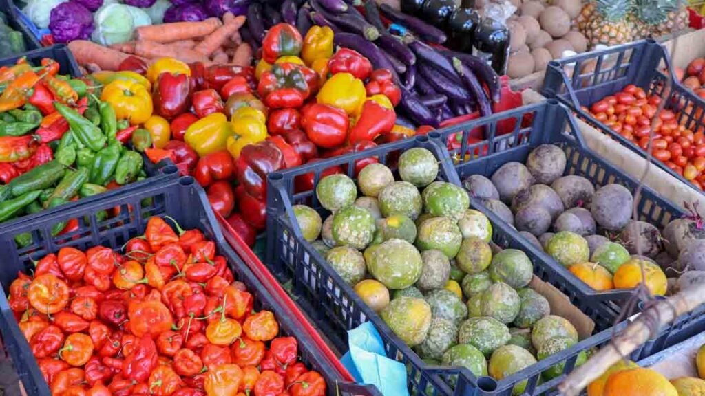 Pesquisadores nos Estados Unidos indicaram que é muito improvável a transmissão de coronavírus por alimentos ou por suas embalagens.