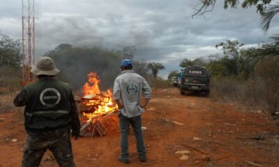 Em mais uma etapa da Operação "Arara Kûara", o Instituto do Meio Ambiente e Recursos Hídricos (Inema) vem monitorando as áreas da região norte do