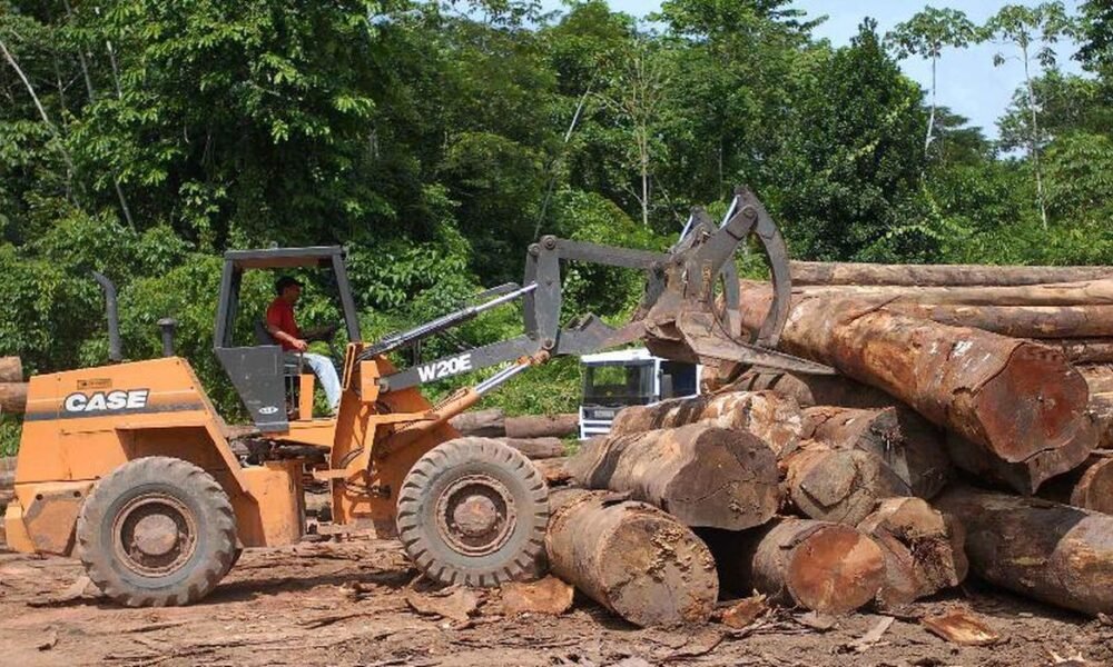 Ministério do Meio Ambiente já são suficientes para configurar a prática de pelo menos dois crimes por parte do presidente afastado do Ibama, Eduardo Bim,