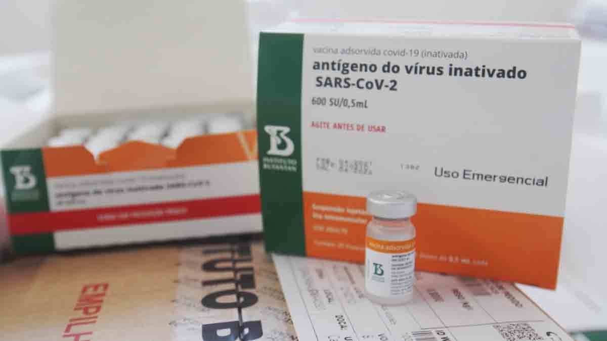 O Instituto Butantan liberou hoje (12) mais 1 milhão de doses da vacina contra o novo coronavírus ao Programa Nacional de Imunizações (PNI).