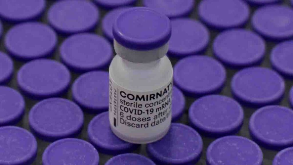 37.440 doses de vacinas contra Covid-19 foi recebida nesta quinta-feira (3), na Bahia. Os imunizantes foram produzidos pela Pfizer/BioNTech.