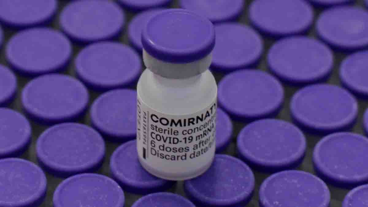 37.440 doses de vacinas contra Covid-19 foi recebida nesta quinta-feira (3), na Bahia. Os imunizantes foram produzidos pela Pfizer/BioNTech.