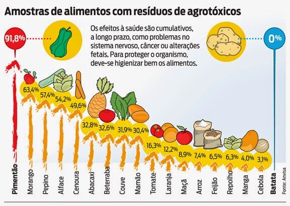 Semana do Meio Ambiente. Os temas atualmente são tantos, da pandemia aos problemas que acometem os nossos solos, oceanos e espécies 