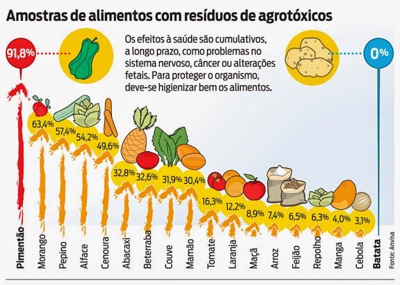 Semana do Meio Ambiente. Os temas atualmente são tantos, da pandemia aos problemas que acometem os nossos solos, oceanos e espécies 