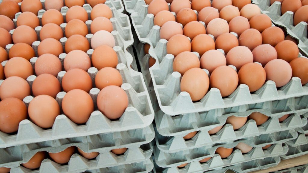 Com o aumento no preço da carne de boi, os consumidores foram forçados a buscar outras opções, como ovos, carnes de frango e de porco.