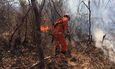 O Corpo de Bombeiros segue tentando controlar, nesta quinta-feira (26), o incêndio florestal na região de Pilão Arcado e Campo Alegre de Lourdes, norte da Bahia, que começou em 9 de agosto.