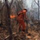 O Corpo de Bombeiros segue tentando controlar, nesta quinta-feira (26), o incêndio florestal na região de Pilão Arcado e Campo Alegre de Lourdes, norte da Bahia, que começou em 9 de agosto.