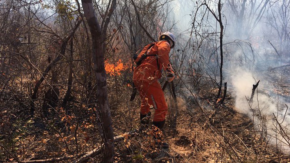 O Corpo de Bombeiros segue tentando controlar, nesta quinta-feira (26), o incêndio florestal na região de Pilão Arcado e Campo Alegre de Lourdes, norte da Bahia, que começou em 9 de agosto.