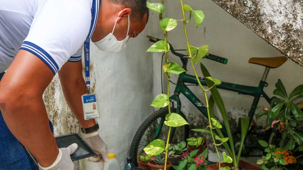 o trabalho de eliminação dos focos ou possíveis criadouros de ovos do mosquito Aedes aegypti voltou a ser realizado, esta semana,