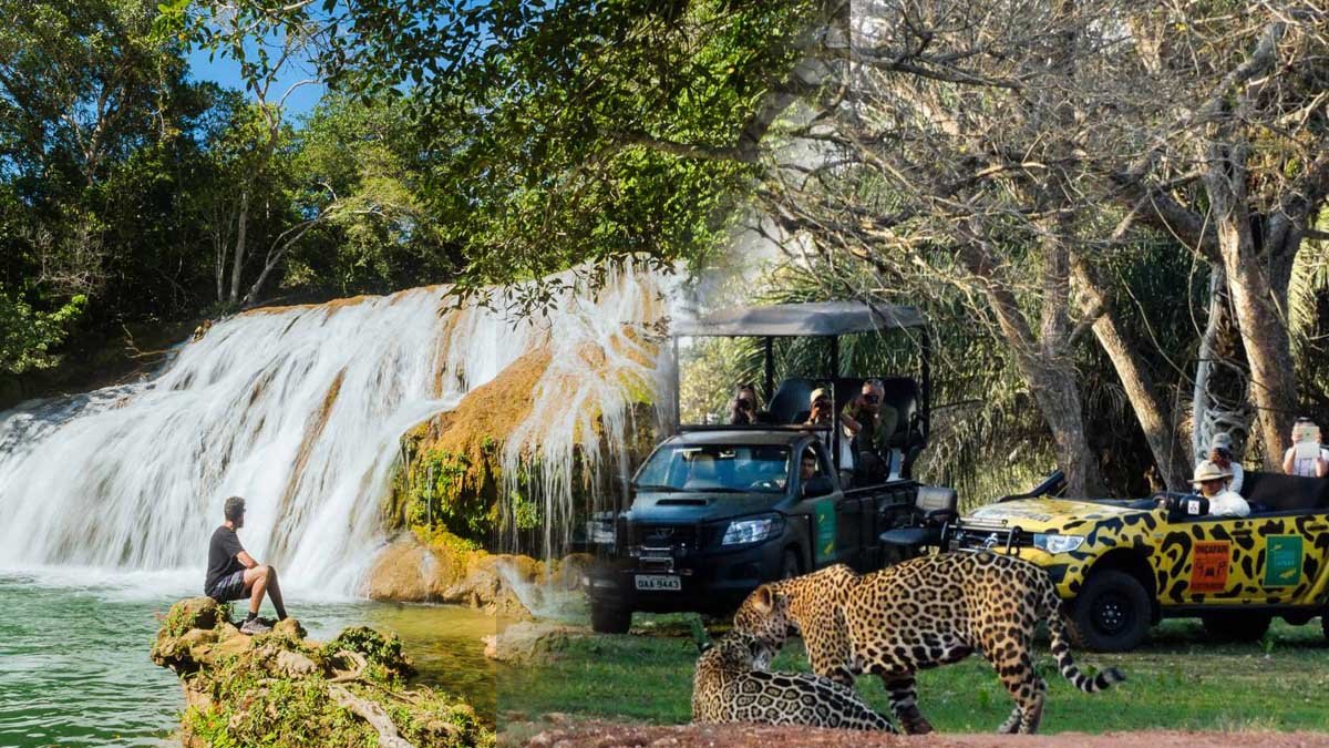 fantástica, com dois destinos repletos de belezas naturais e conservação ambiental, localizados no centro-oeste do Brasil: Bonito e Pantanal