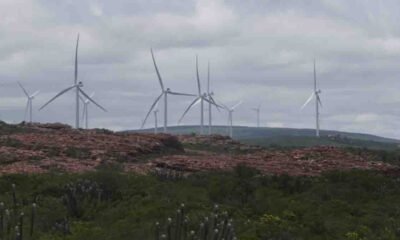 A Enel Green Power Brasil inaugurou nesta quinta-feira (25) um novo parque eólico na Chapada Diamantina. O evento contou com a participação