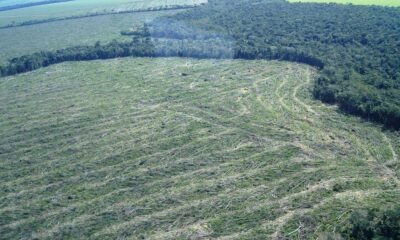 Os defensores da floresta amazônica estão pedindo aos delegados da Cop-26 que não confiem nas promessas de “greenwashing” do governo de Jair