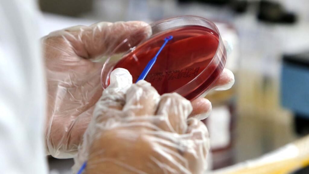 Cientistas dizem que identificaram uma versão “furtiva” da Ômicron que não pode ser distinguida de outras variantes usando os testes de PCR