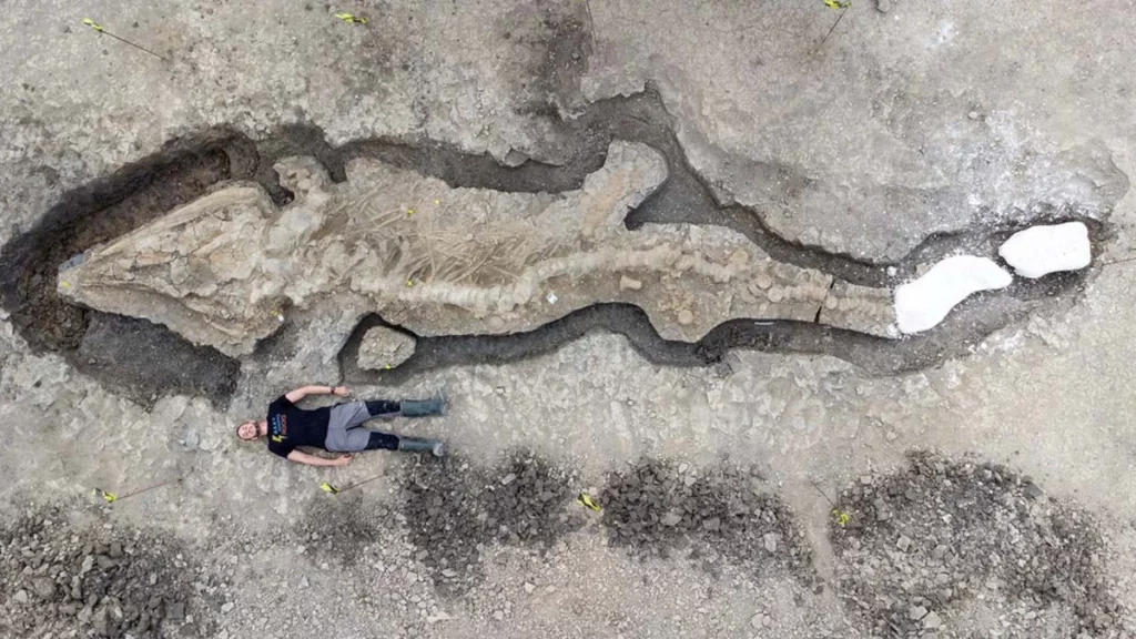 O fóssil de um ictiossauro foi descoberto na região central da Inglaterra.