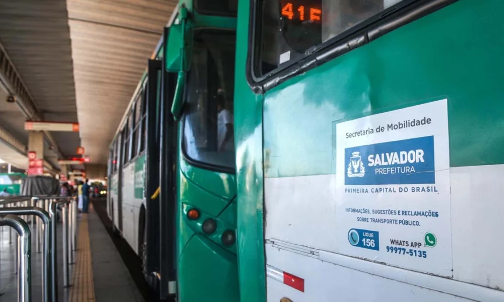 A Secretaria Municipal de Mobilidade (Semob) criou uma nova linha para atender os usuários que circulam pela região do Vale do Canela. A 0138-01 – Lapa x Garibaldi/Ondina vai substituir a 0139 – Lapa x Campo Grande / Praça da Sé, que havia sido suspensa durante a pandemia. A nova linha começará a operar a partir da próxima segunda-feira (14) e, com o itinerário encurtado, vai deixar a viagem mais rápida.