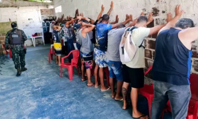 Operação Ronda Ambiental da Companhia Independente de Polícia de Proteção Ambiental (Coppa) flagrou 49 papa-capins em condições irregulares