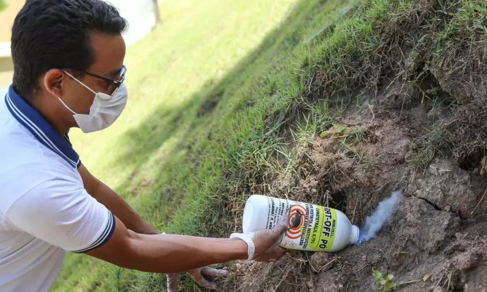 Com o aumento das chuvas, cresce também o risco de disseminação da leptospirose, motivo pelo qual a Prefeitura de Salvador redobra