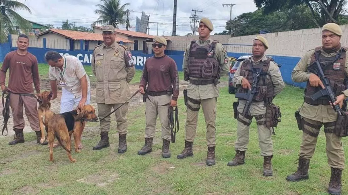 O italiano Paolo Razelli, que passou quatro dias desaparecido no sul da Bahia e foi encontrado por equipes do 8º Batalhão da Polícia Militar