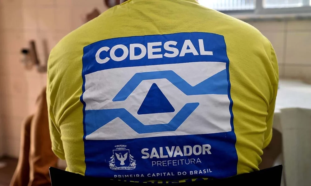 A Defesa Civil de Salvador (Codesal), está em processo de renovação de acordos de cooperação técnica com instituições de ensino superior sediadas na capital baiana, a fim de promover atividades acadêmicas de interesse social envolvendo áreas de ocupação precária na cidade, especialmente aquelas em situação de risco. A iniciativa tem como objetivo atuar na prevenção de desastres naturais e prover assistência a famílias de baixa renda, vulneráveis a esse tipo de ocorrência.