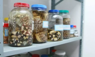 Em 2022, o Centro de Informação e Assistência Toxicológica da Bahia (CIATox-BA) completa 42 anos como referência na orientação,
