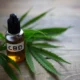 Segundo estudo da Universidade de São Paulo (USP) em Ribeirão Preto e Universidade Estadual Paulista em Franca (Unesp), o canabidiol (CBD), substância extraída da maconha e que não produz dependência, quando combinado com o antibiótico polimixina B, recomendado para o tratamento de infecções, pode ser eficaz contra superbactérias resistentes a medicamentos.