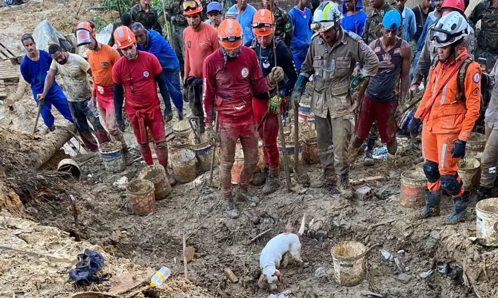 Com a ajuda de Cristal, cadela farejadora do Corpo de Bombeiros Militar da Bahia (CBMBA), foram encontrados, na Vila dos Milagres, nesta