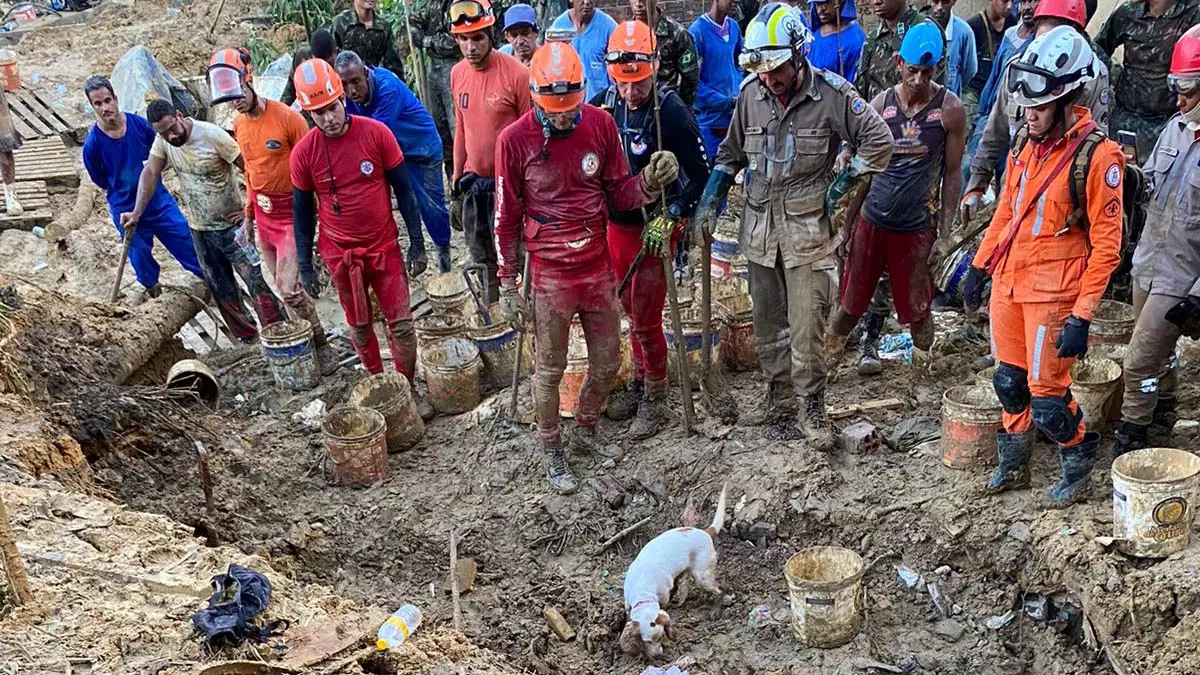 Com a ajuda de Cristal, cadela farejadora do Corpo de Bombeiros Militar da Bahia (CBMBA), foram encontrados, na Vila dos Milagres, nesta