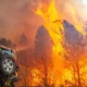 estão lutando contra incêndios florestais em dezenas de milhares de hectares, enquanto a onda de calor desta semana