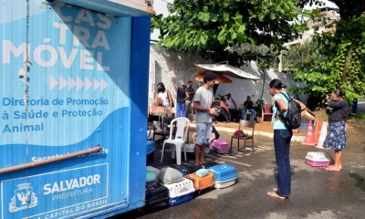 Os tutores têm uma oportunidade a mais para garantir a castração dos animais de estimação mais perto de casa. As atividades do Castramóvel na sede da Guarda Civil Municipal (GCM), na Avenida San Martin, foram prorrogadas até o dia 9 de setembro.