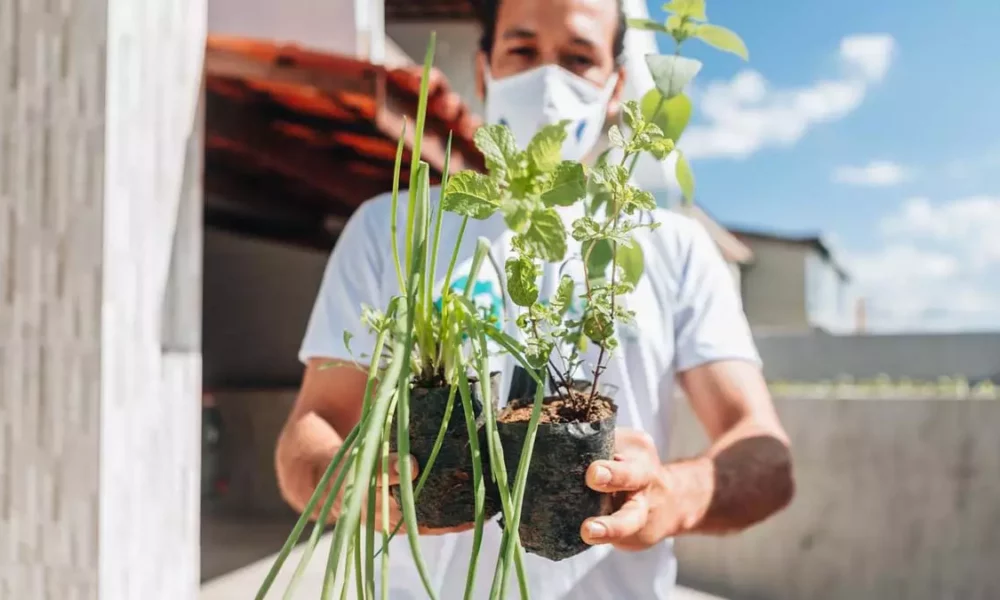 novas inscrições para 100 vagas do Horta em Casa. O projeto é gratuito e tem como objetivo estimular o cultivo da alimentação saudável