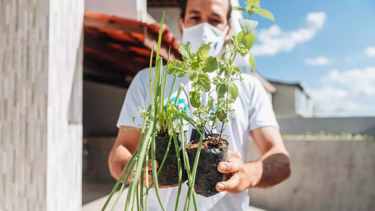novas inscrições para 100 vagas do Horta em Casa. O projeto é gratuito e tem como objetivo estimular o cultivo da alimentação saudável