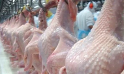 A África do Sul suspendeu, por 12 meses, tarifa antidumping do frango congelado brasileiro que vigoravam desde dezembro do ano passado. Com isso, o produto entrará ao país sem cobrança de taxas extras, que variava de 6% a 265,1%, além do Imposto de Importação.