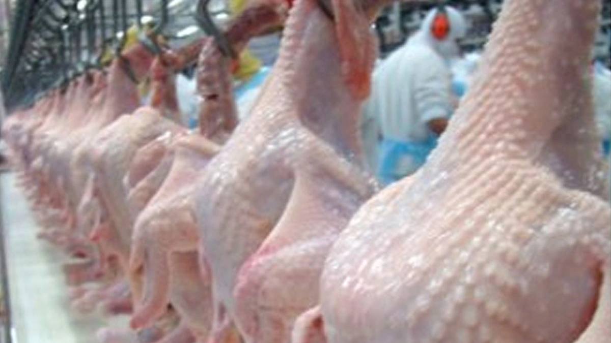 A África do Sul suspendeu, por 12 meses, tarifa antidumping do frango congelado brasileiro que vigoravam desde dezembro do ano passado. Com isso, o produto entrará ao país sem cobrança de taxas extras, que variava de 6% a 265,1%, além do Imposto de Importação.