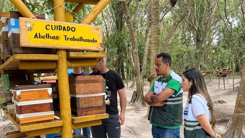 A Secretaria Municipal de Sustentabilidade e Resiliência (Secis) pretende ampliar o número de colônias de abelhas sem ferrão,