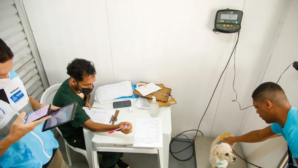 O Castramóvel, serviço itinerante de castração de cães e gatos, prossegue com as atividades no Centro de Artes e Esportes Unificados (CEU), localizado em Valéria. Nas segundas, quartas e sextas-feiras, o atendimento é prioritário para gatos. Já nas terças e quintas-feiras, é a vez dos cães. Iniciado no último dia 19 no local, o Castramóvel atendeu 170 animais, entre cães e gatos.