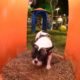 Estruturas exclusivas ao ar livre, erguidas em área verde, têm feito a alegria dos pets e de seus tutores, em Salvador. São os Dog Parks,