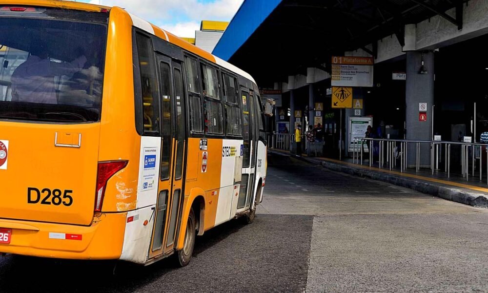 Sistema de Transporte Especial Complementar (STEC) de Salvador também terão tarifa gratuita. A operação, que inclui os ônibus