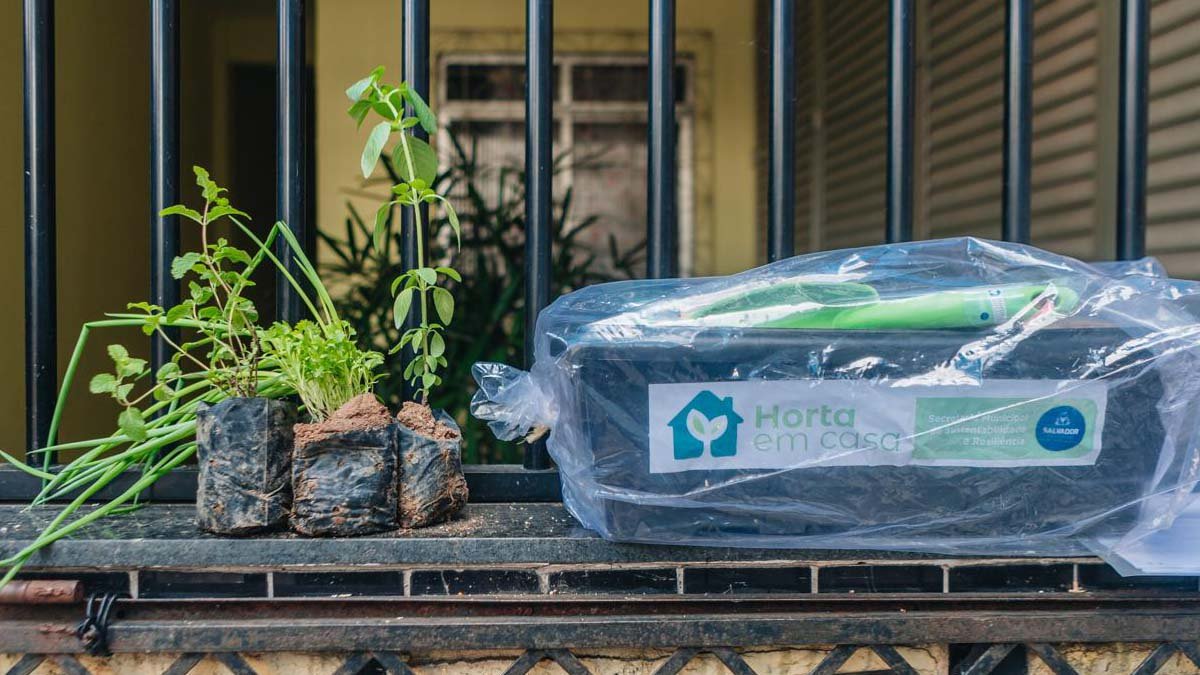 A Prefeitura de Salvador oficializou, nesta semana, a assinatura do Pacto de Milão, que garante a segurança alimentar de