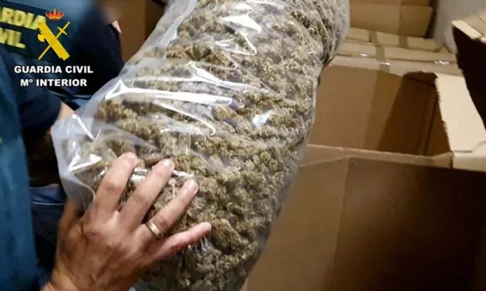 Uma grande carga de maconha com um valor de mercado de pelo menos 64 milhões de euros foi apreendida na Espanha. Segundo a polícia