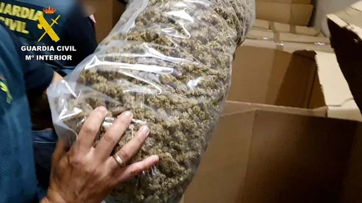 Uma grande carga de maconha com um valor de mercado de pelo menos 64 milhões de euros foi apreendida na Espanha. Segundo a polícia