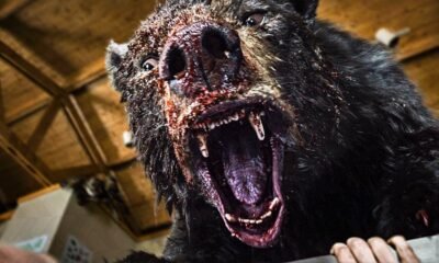 Inspirado em uma história real, ocorrida em 1985, sobre a queda do avião de um traficante de drogas, um lote de cocaína perdido e o urso
