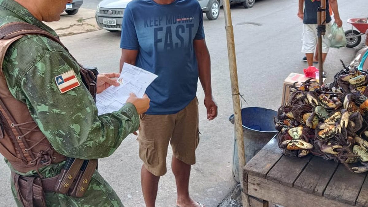 A segunda fase da operação “Período do Defeso do Caranguejo Uçá”, resgatou 162 crustáceos (caranguejo e guaiamum), no domingo (22).